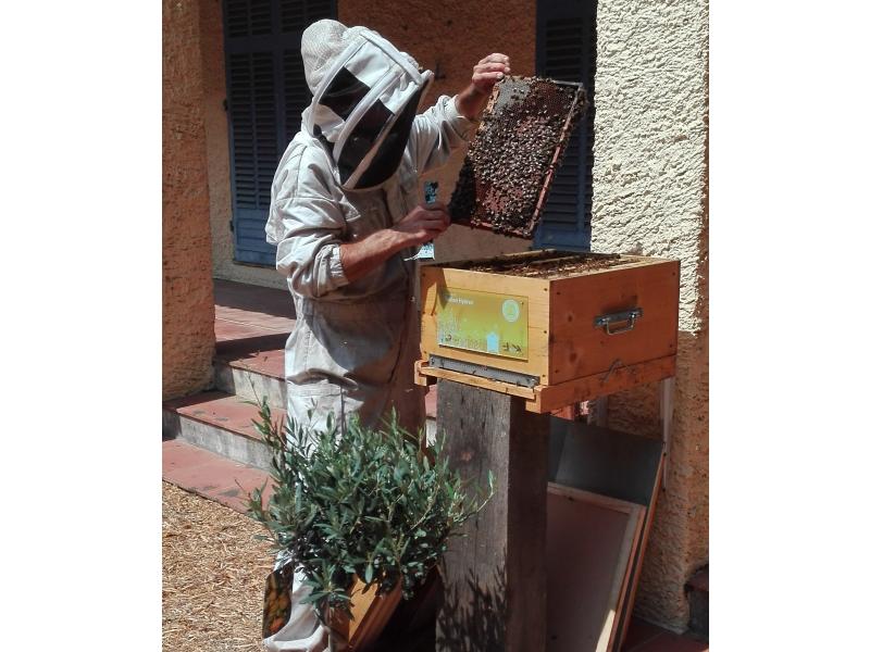 Sylvain DESTRE apiculteur référent et apiculteur professionnel - Crédit photo Virginie Hateau UNAF